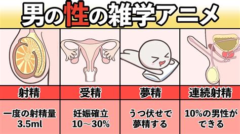 口内射精とは？口内射精したい男性心理・コツ・注意点 